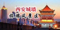 嫩b女护士中国陕西-西安城墙旅游风景区